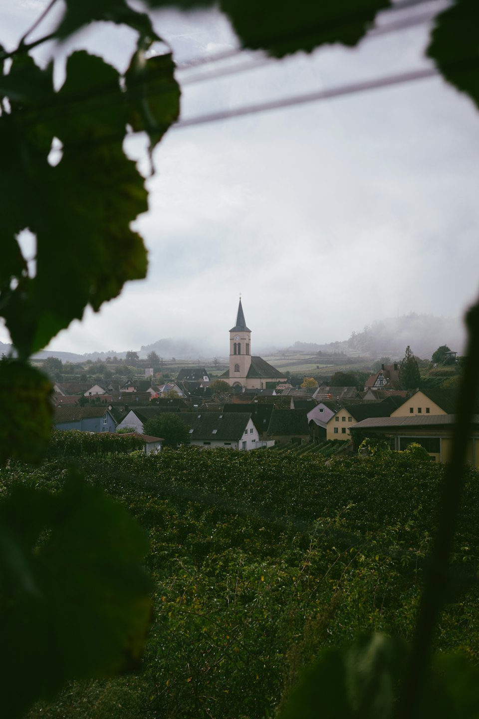 Zvonica kostola sa týči nad európskou dedinkou s vinicami.